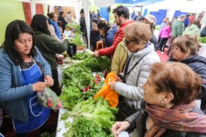 Hoy se realiza una nueva versión de la Feria Saludable
