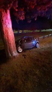 Auto terminó estrellado contra árbol en Av. Bulnes