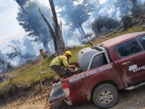 Varios focos de incendio forestal han sido controlados