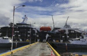 Se reanuda la llegada de cruceros a Puerto Williams