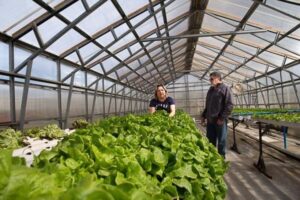 Agricultora magallánica destaca uso de hidroponía