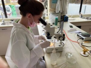 Las investigaciones escolares que se llevaron aplausos en último congreso nacional