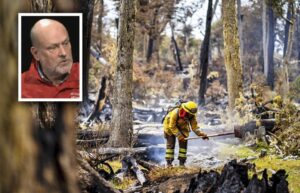 “Nos gustaría que haya un trabajo en conjunto entre Karukinka y CONAF, para tener una eventual acción de contingencia”