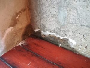 Pese a término de garantía, Serviu buscará solucionar problemas en edificio