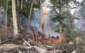 Incendio en Timaukel alcanza las turberas y superficie afectada asciende a 600 hectáreas