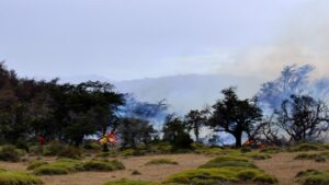 Conaf expulsa a dos turistas de Torres del Paine