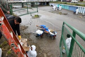 Doce toneladas de basura sacaron desde el río de las Minas