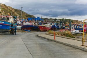Autoridades prevén una buena temporada del erizo en la región