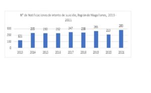 Seremi de Salud reveló 283 intentos de suicidio en Magallanes