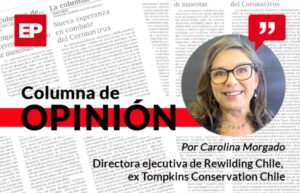 Compromiso medioambiental del nuevo gobierno