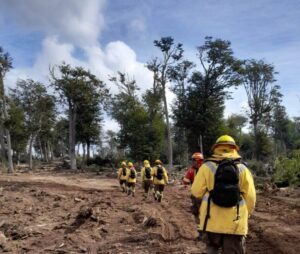 Conaf busca saber qué opina la comunidad sobre los incendios forestales