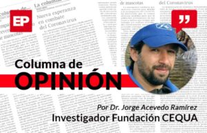 Clave para analizar efecto del calentamiento global en ecosistema del Estrecho de Magallanes