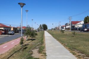 Un pasto cada vez menos verde provocado por la sequía en Punta Arenas