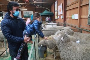 Expogama 2021 vivirá hoy su jornada final de premiaciones