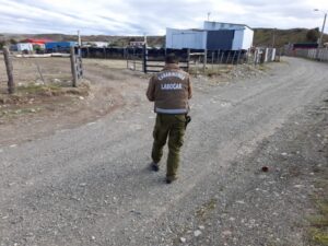 Carabineros investiga robo de herramientas