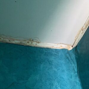 Fuerte lluvia originó daños al interior de departamentos en la Población Archipiélago de Chiloé