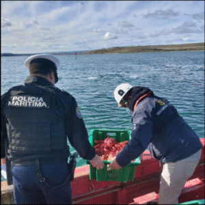 Demandan a empresa por extracción de 184 kilos de centolla bajo el tamaño legal