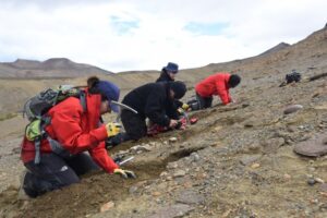 Expedición liderada por Inach obtiene nuevos registros de dinosaurios en Cerro Guido