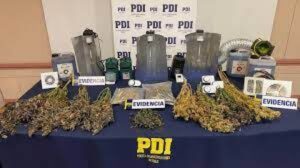 Tatuador es sentenciado por microtráfico de drogas