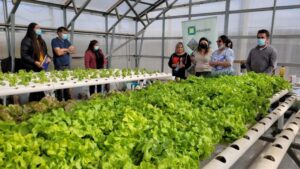 Invitan a productores a participar en concursos de riego