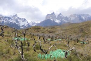 Turista española fue expulsada de Torres del Paine