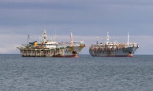 Denuncian a pesquera por extraer 234 toneladas de pescado sin su sistema de cámaras
