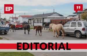 Caballos en las calles: una tenencia irresponsable que debe ser castigada