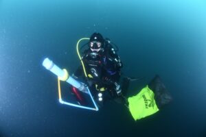 Investigadores diseñan primer registro de especies marinas foráneas en la Antártica