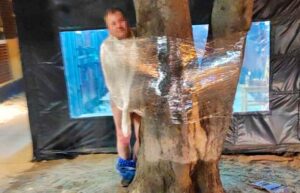 Atan a hombre semidesnudo a un árbol en frente de céntrico pub