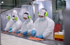 Exportaciones de salmón logran niveles prepandemia