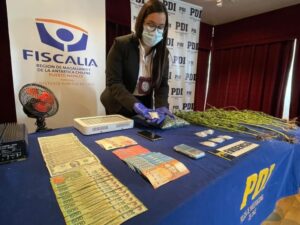 PDI desarticuló punto de venta de drogas e incautó marihuana y cocaína en Natales