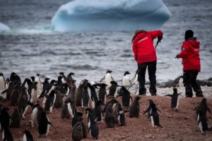52 proyectos se ejecutaron en la Expedición Científica Antártica número 58