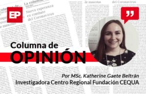 El lenguaje de las nubes