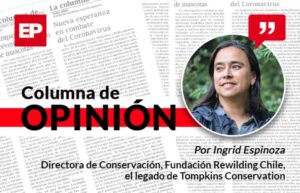 Proteger las turberas es proteger al planeta