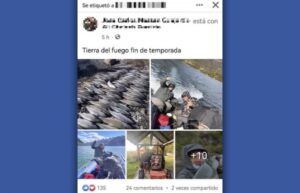 Denuncian a turistas nacionales por extraer y vender salmones en Magallanes