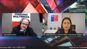 “Cuatro de 10 mujeres en Magallanes han sufrido violencia por parte de su pareja hombre”