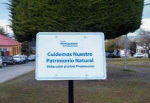 Letreros municipales piden evitar subidas a “árbol presidencial”