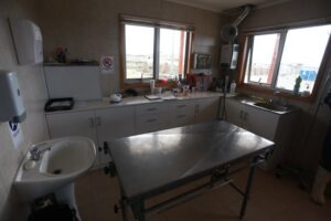 2.000 esterilizaciones para mascotas realizará el municipio de Punta Arenas