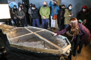 Presentan a “Fiona”, la ictiosauria recuperada desde un glaciar de la Patagonia chilena