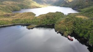 Alerta por tránsito de castor por fiordos y canales de la Península de Brunswick