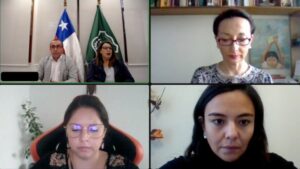 Juez de Familia y Ley de Monitoreo a Agresores VIF: “Con esto los tribunales podemos ser activos en fiscalizar y hacer que se concrete una m