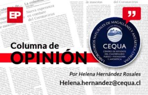 Evolución: ¿Qué es y cómo la estudiamos?