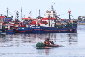 Se querellan contra empresarios pesqueros por evadir más de $150 millones en impuestos