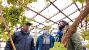 Gobierno estudia herramientas para atraer a los jóvenes al campo