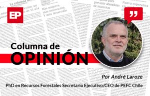 Los bosques plantados no son el problema