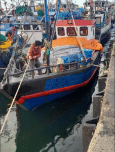 Armador que extrajo cuatro toneladas de erizo sin estar inscrito en registro de Sernapesca arriesga multa de $6,3 millones