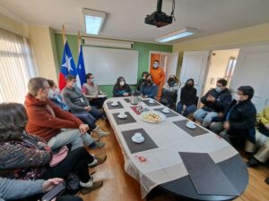 Proponen experiencia piloto de salud digital para pacientes derivados a Punta Arenas