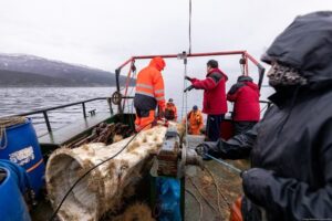 Recuperan un aparato de recolección de datos oceanográficos en el canal Beagle