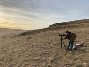 Conaf monitoreó aves en el Parque Nacional Pali Aike