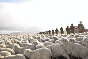 Funcionarios de Ejército realizan ejercicio caminando desde Natales a Punta Arenas